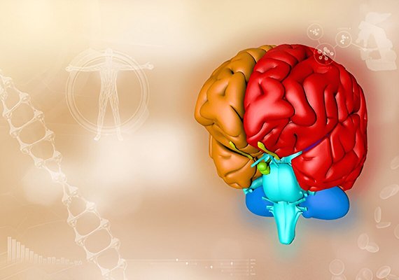 Neurosurgery Facilities